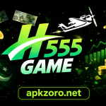 H555 Game